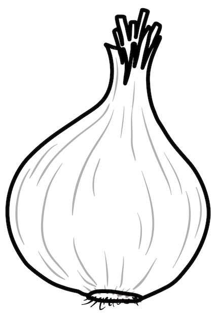 Premium vector onion doodle outline for colouring