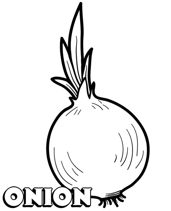 Coloring pages coloring page vegetable for children onion