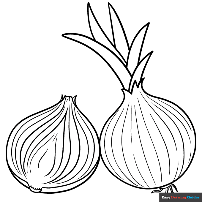 Onion coloring page easy drawing guides