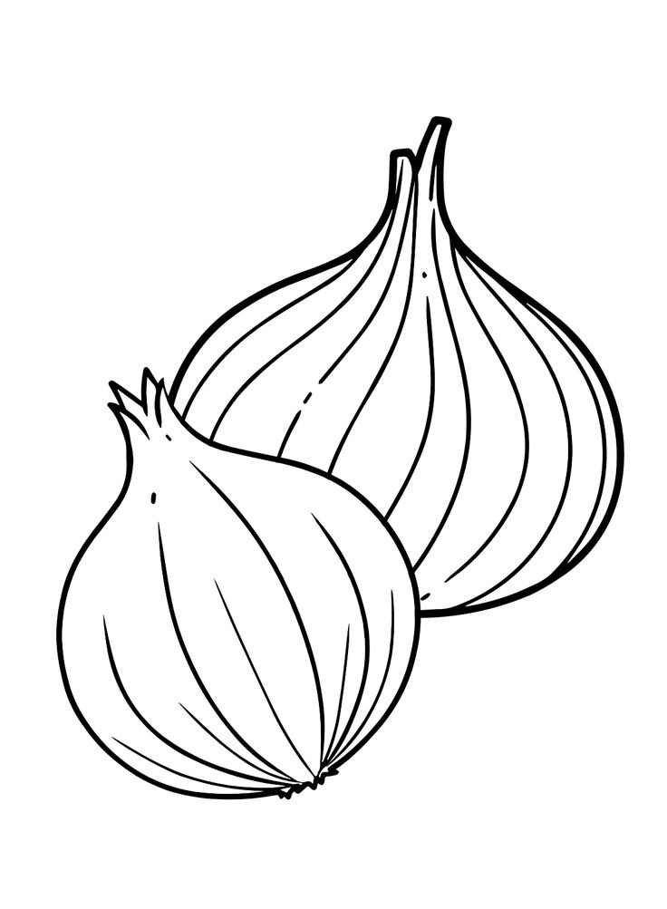 Onions coloring page