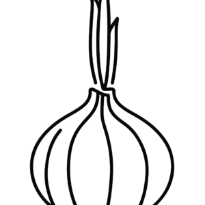 Onion coloring pages printable for free download