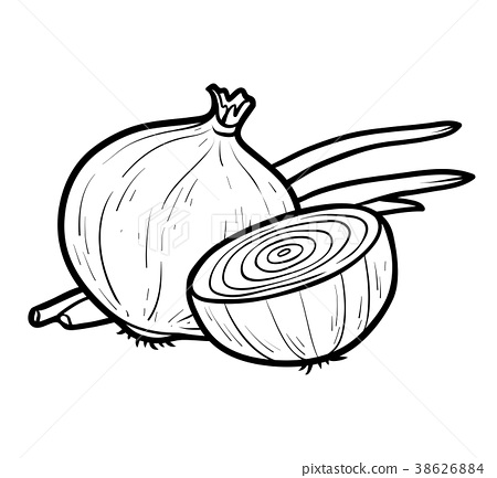 Coloring book white onion