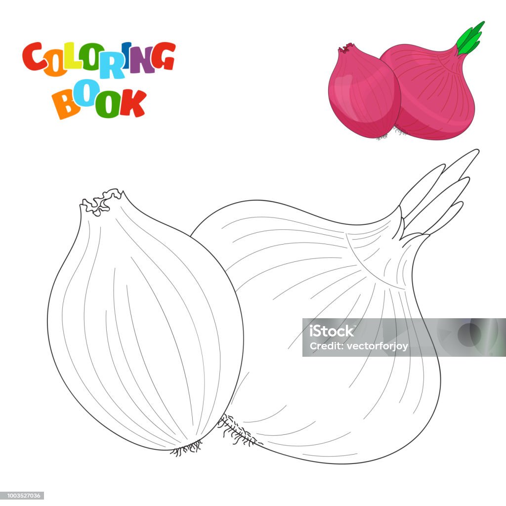 Coloring book page for preschool children with outlines of red onion and a colorful copy of it vector illustration for kids education stock illustration