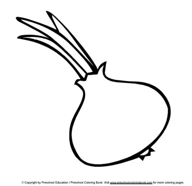 Onion coloring page coloring page template printing printable food coloring pages for kids onion àààààµàà