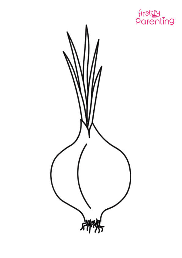 Easy printable onion coloring pages for kids