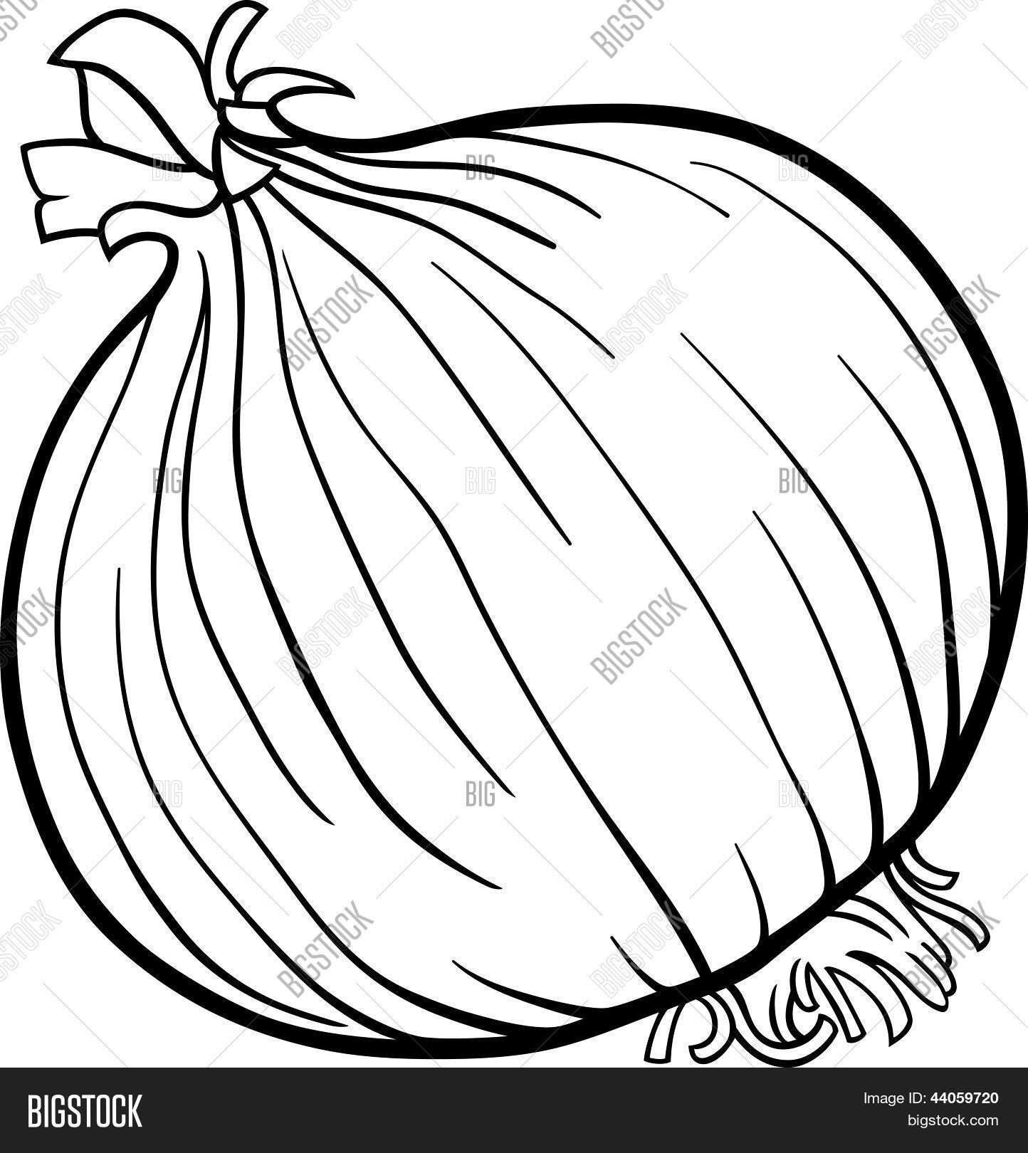 Onion vegetable vector photo free trial bigstock