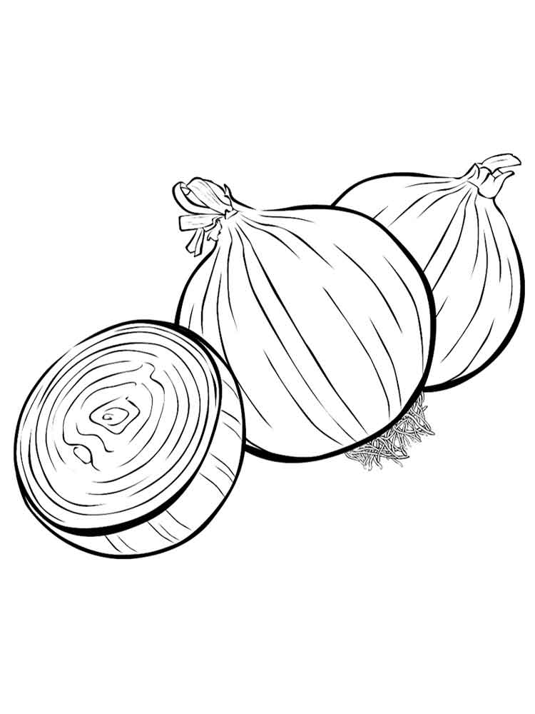 Coloring pages vegetables onion coloring page for kids