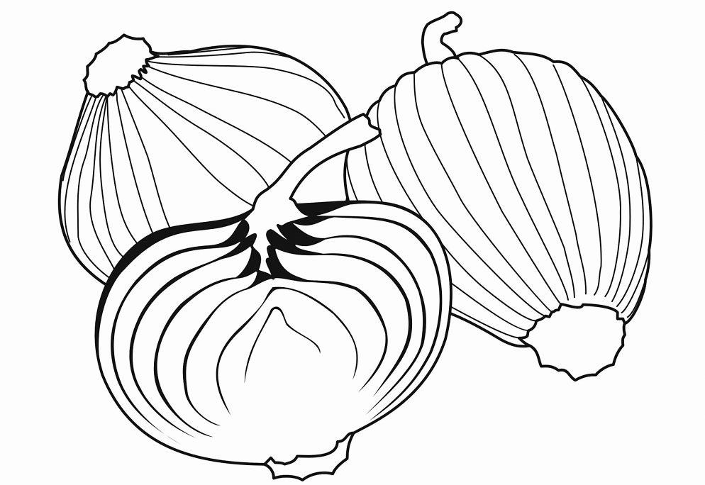 Onion coloring pages