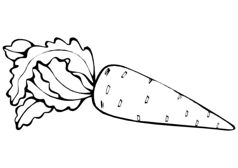 Onion coloring page