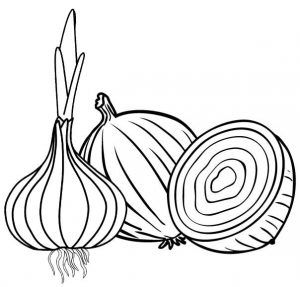 Playful onion and garlic coloring pages for kids garden coloring pages flower coloring pages bee coloring pages