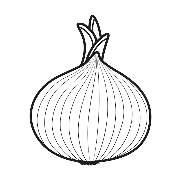 Premium vector sprouted onions linear drawing on white background