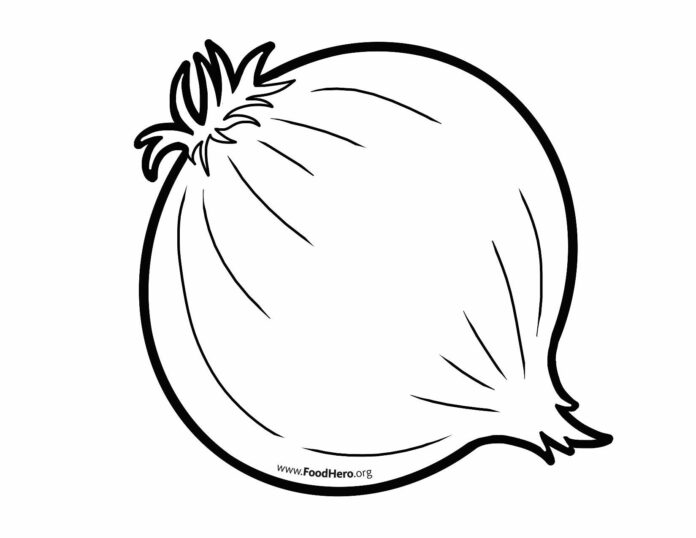 Onion coloring book for kids to print and online