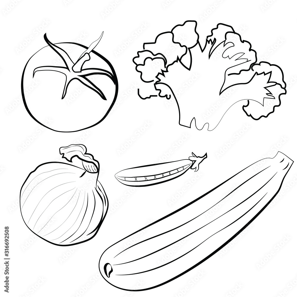 Set of vegetables tomato onion zucchini peas outline drawing vector