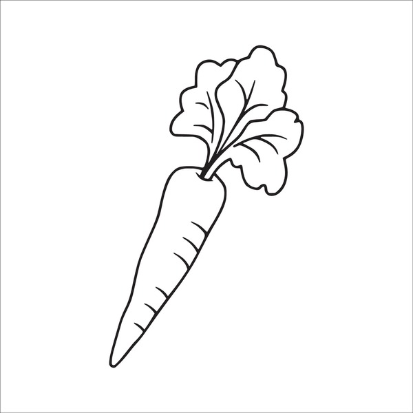 Thousand carrot line illustration royalty