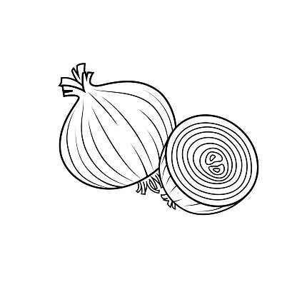 Vector illustration of onion isolated on white background for kids coloring book stock illustration