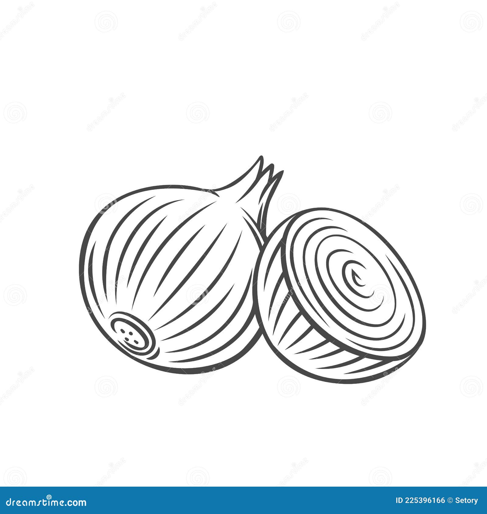 Onion outline icon stock vector illustration of kitchen