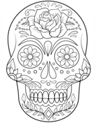 Coloring pages for adults super coloring