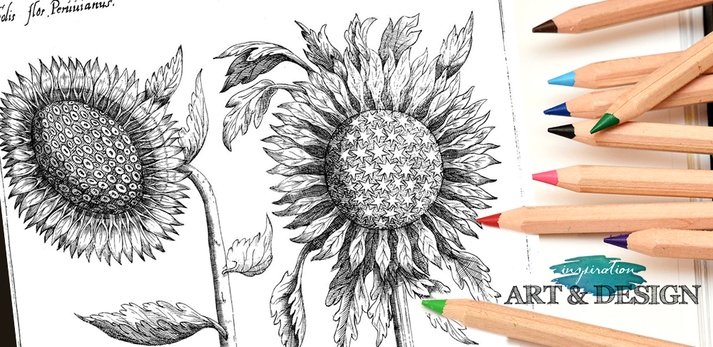 Free adult coloring pages archives