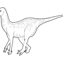 Dinosaur coloring pages