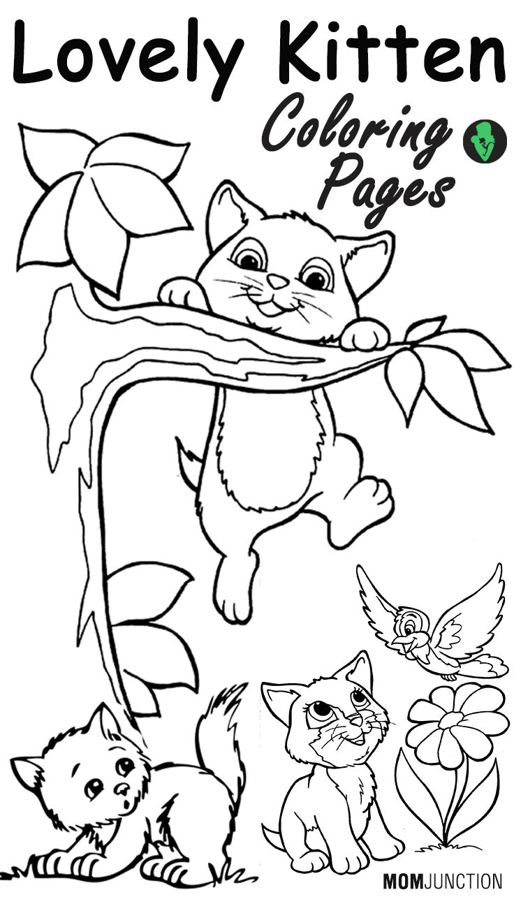 Top free printable kitten coloring pages online coloring pages cat coloring page cat coloring book