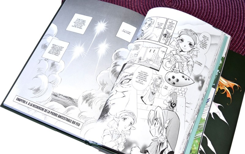 Manga the legend of zelda perfect edition