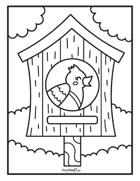 Printable bird coloring pages