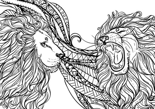 Lion coloring page for adults images â browse photos vectors and video