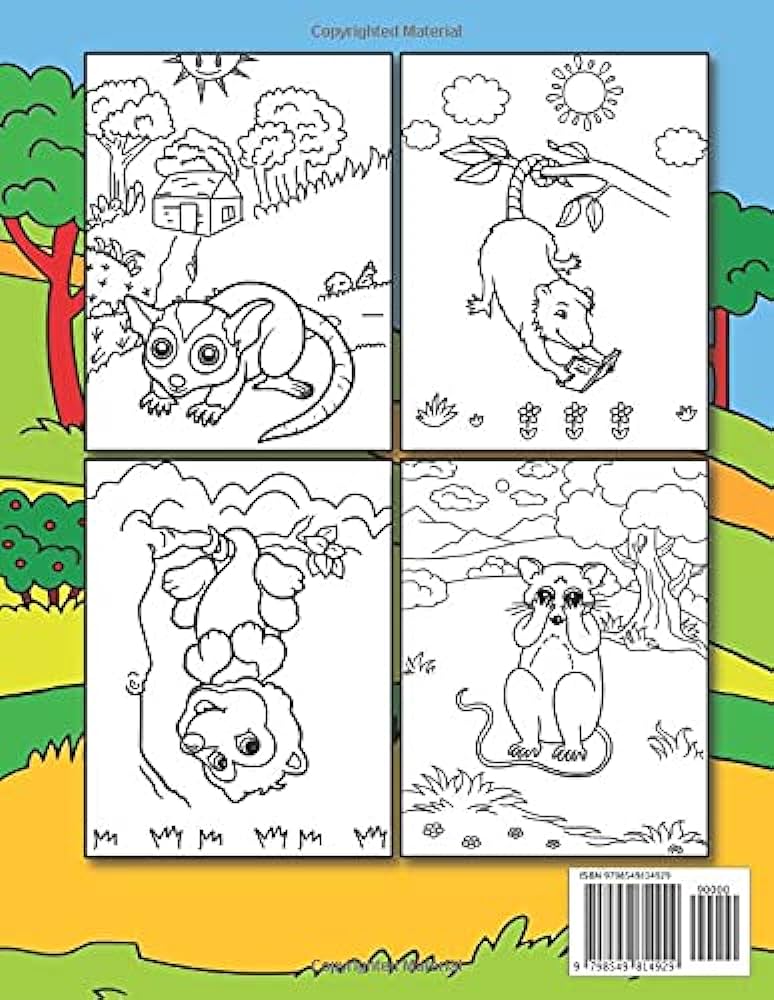 Opossum coloring book this book has amazing opossum stress relief and relaxation coloring pages light house dream books