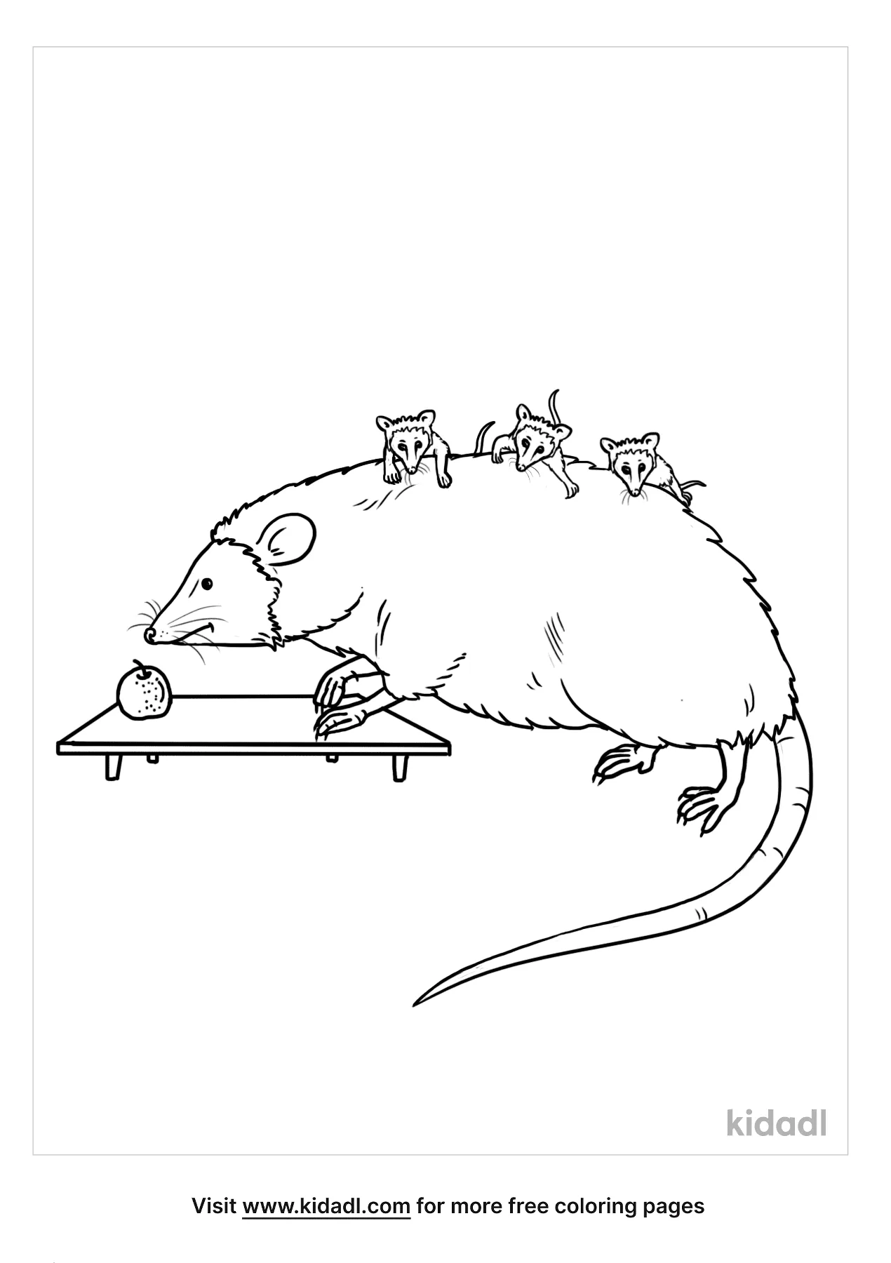 Free opossum coloring page coloring page printables