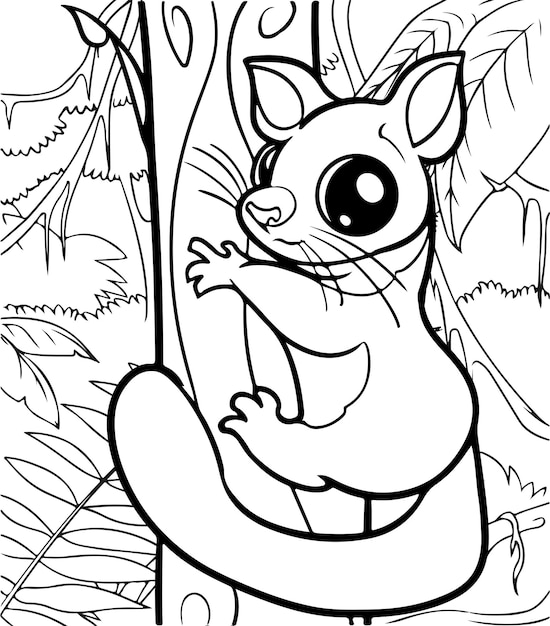 Premium vector cute brushtail possum coloring pages for kids