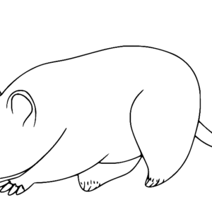 Opossum coloring pages printable for free download