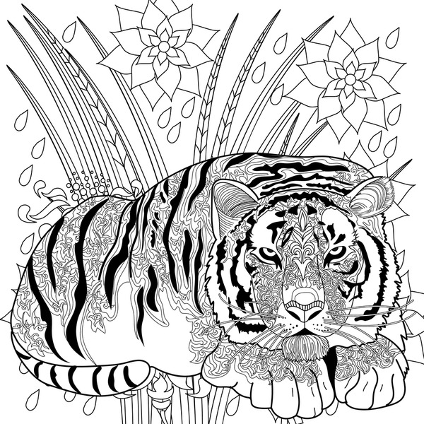 Adult colouring tiger images stock photos d objects vectors