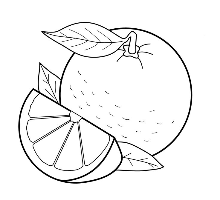 Orange coloring page fruit coloring pages food coloring pages coloring pages