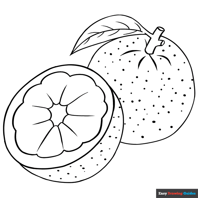 Orange coloring page easy drawing guides