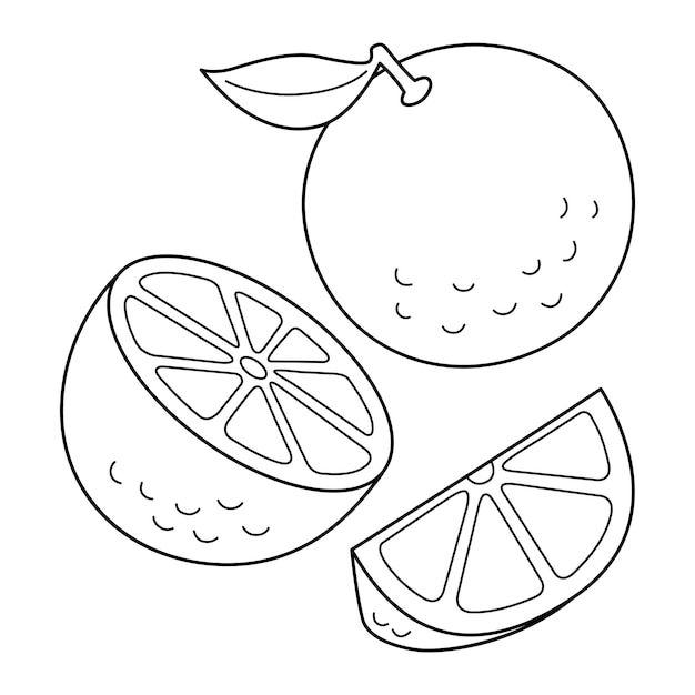 Premium vector orange fruit isolated coloring page for kids