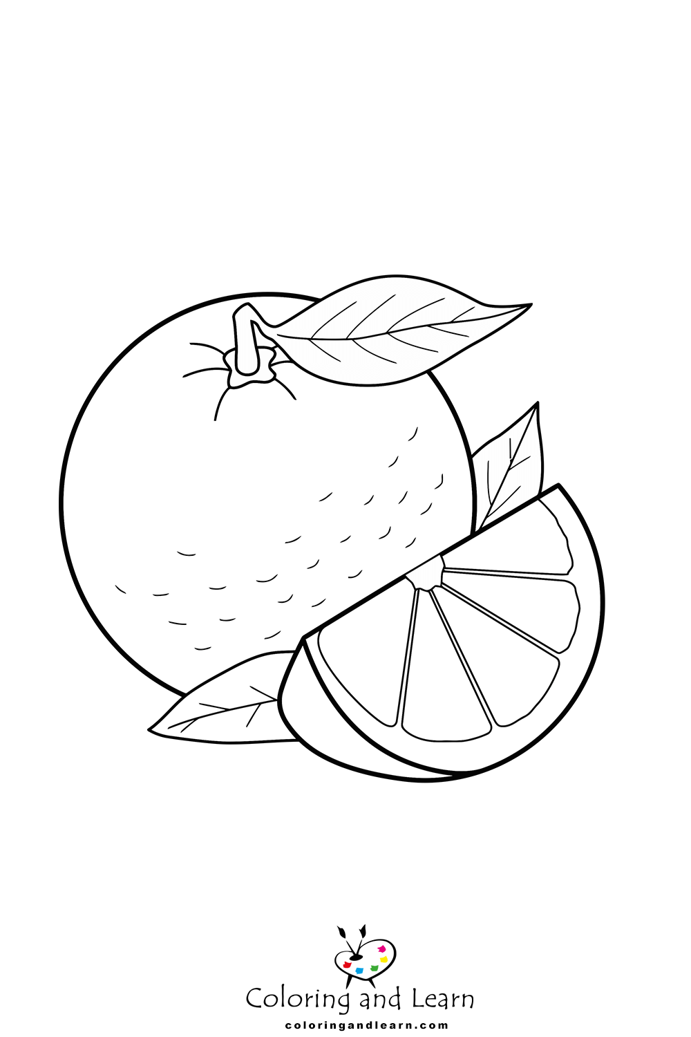 Orange coloring pages