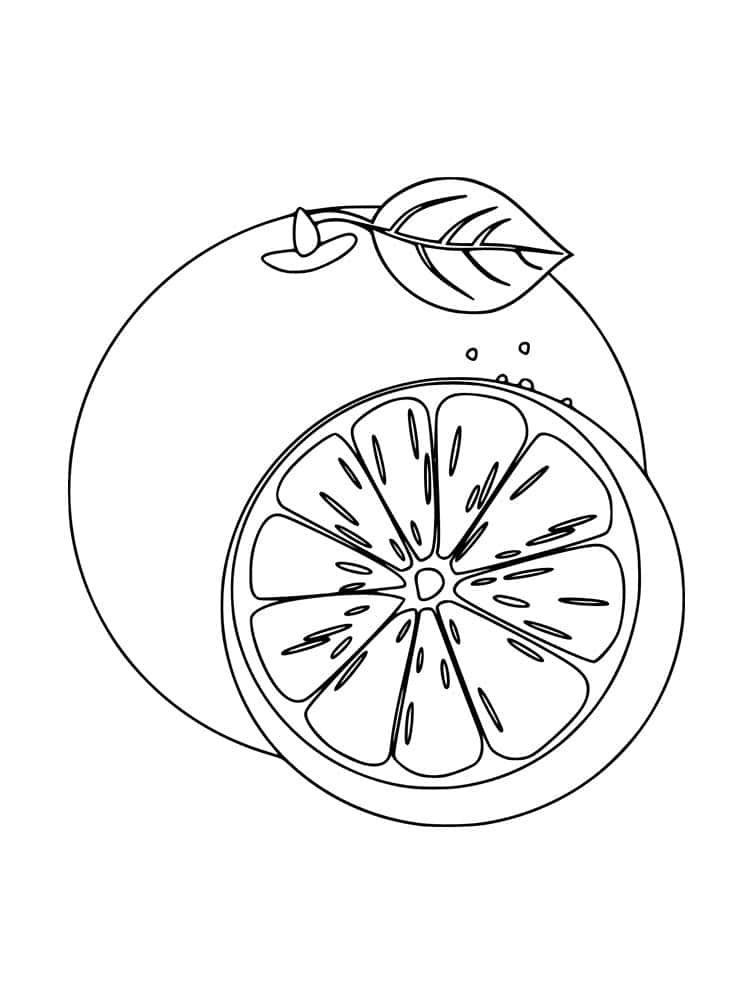 Simple drawing of an orange coloring page