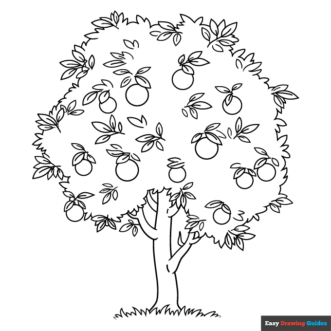 Orange tree coloring page easy drawing guides