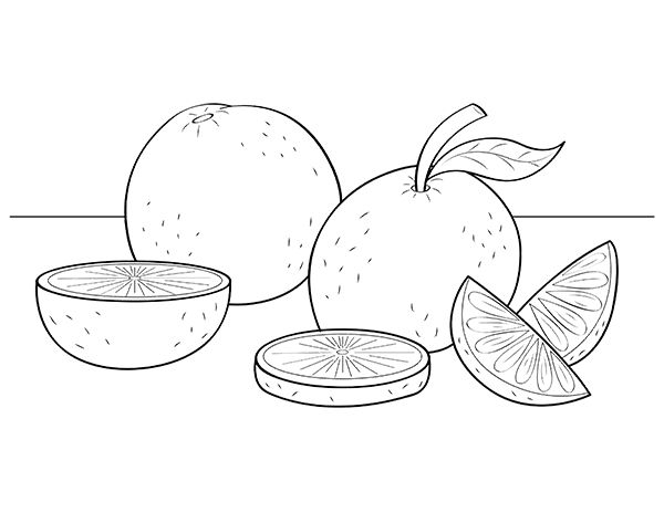 Free printable orange coloring page download it at httpsmuseprintablesdownloadcoloring