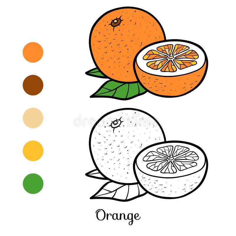 Coloring orange picture stock illustrations â coloring orange picture stock illustrations vectors clipart