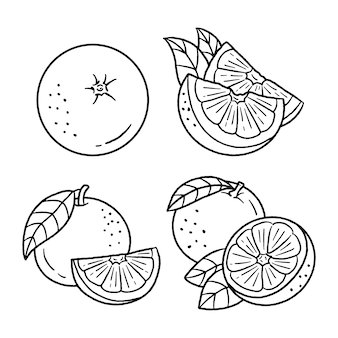 Orange coloring images