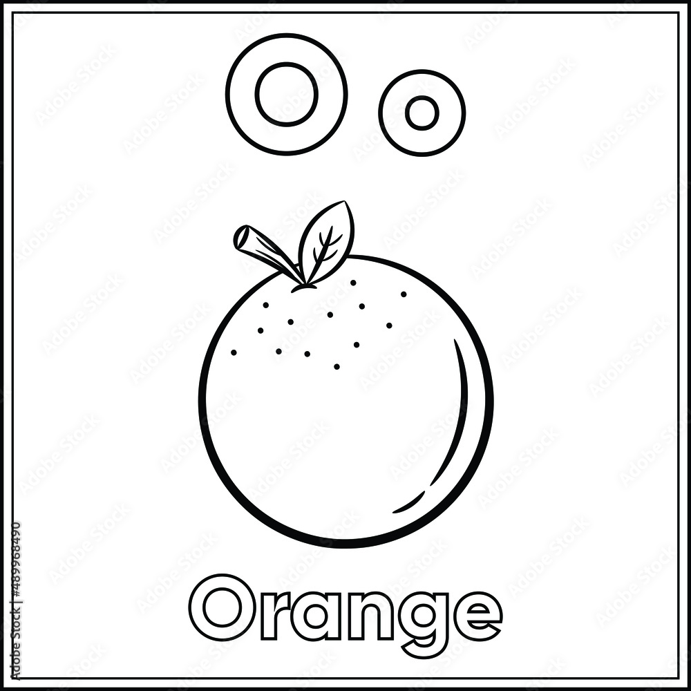 Alphabet flashcard letter o learning with cute orange drawing sketch for coloring vector