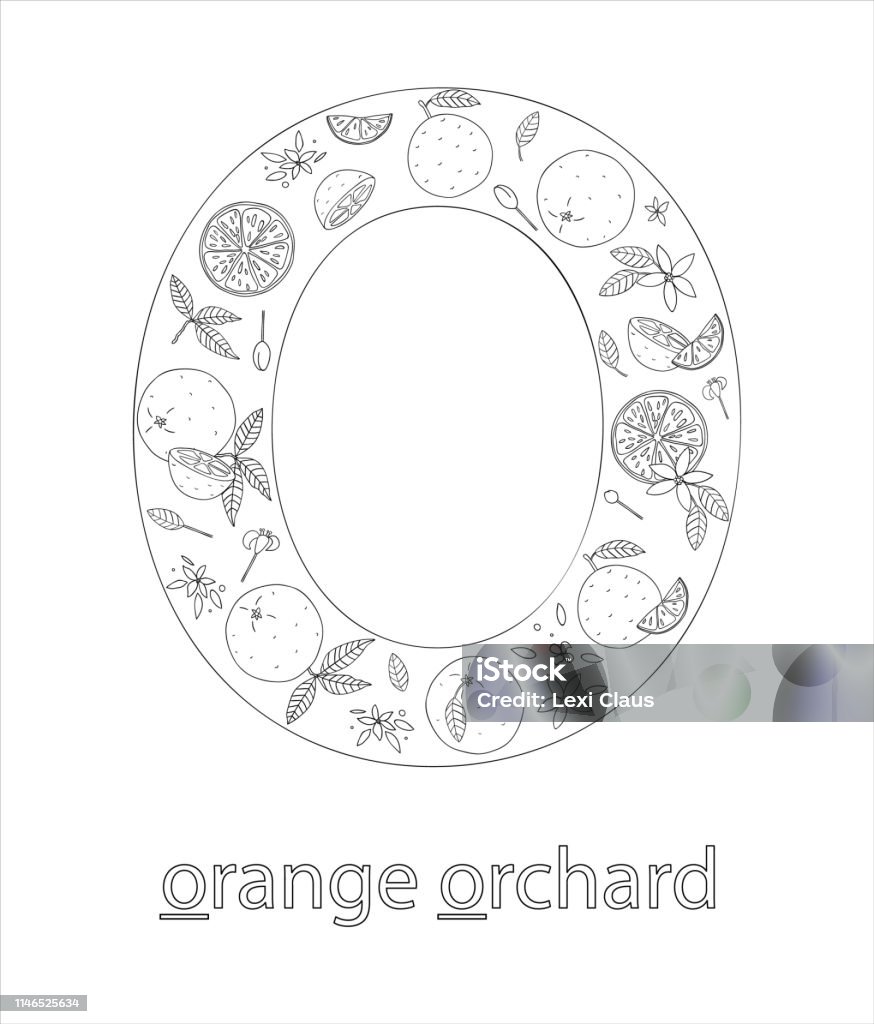 Black and white alphabet letter o phonics flashcard cute letter o for teaching reading with cartoon style oranges coloring page for children stock illustration