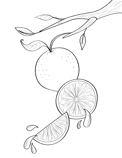 Free orange coloring page