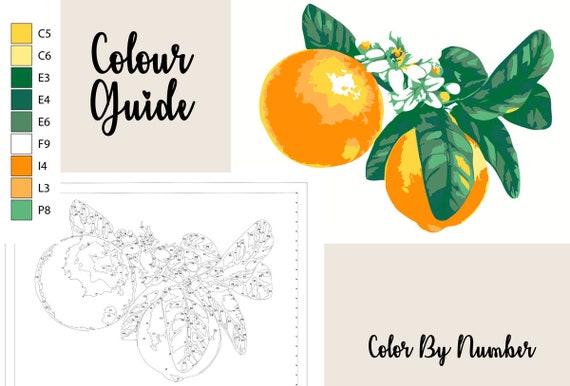 Orange blossom painting by numbers orange coloring page printable coloring page printable pdf fruits color by numbers adult craft as