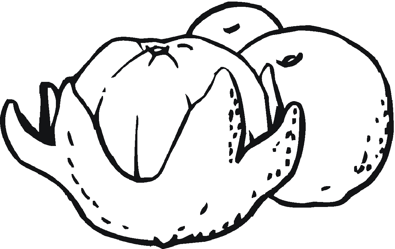 Oranges coloring pages