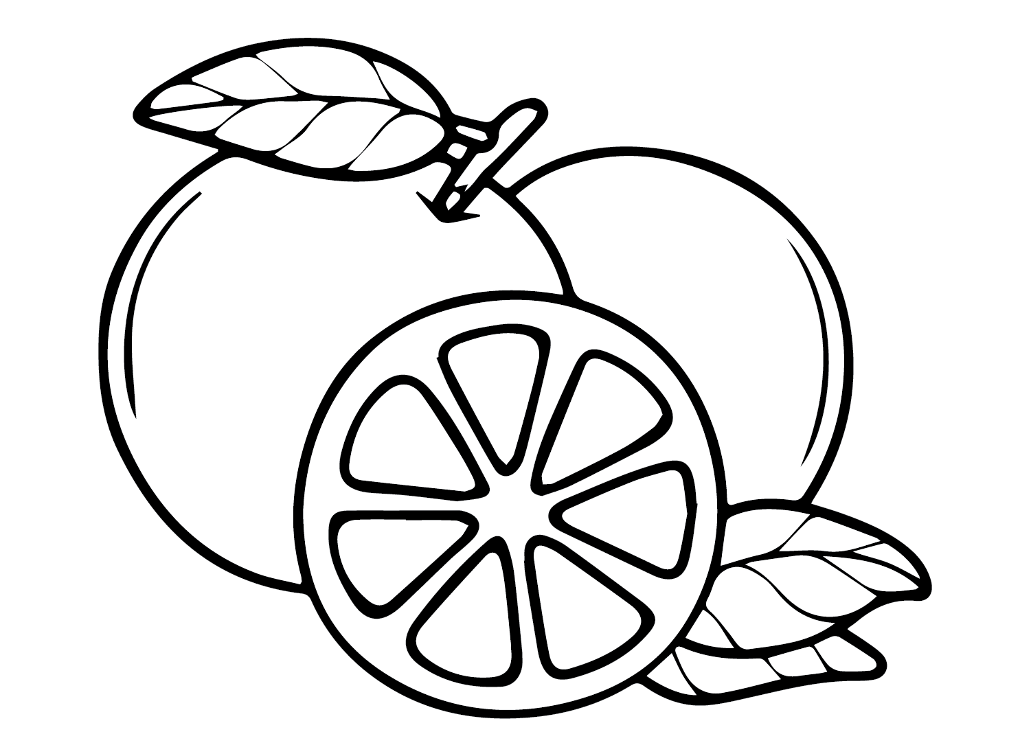 Free printable oranges coloring page