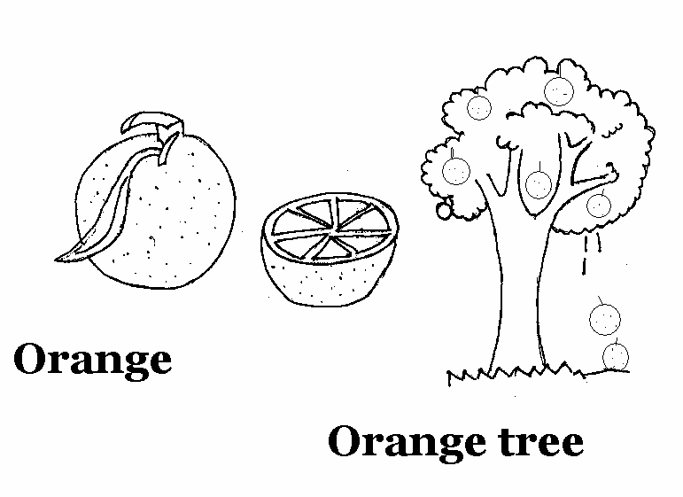 Orange coloring printable page for kids