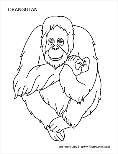 Orangutan free printable templates coloring pages