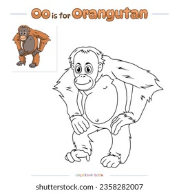 Orangutan colouring images stock photos d objects vectors